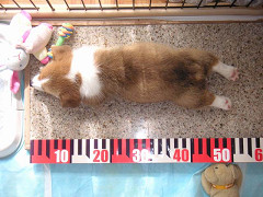 Resize of PICT0573_thumb.jpg